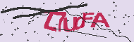 Captcha認証コード